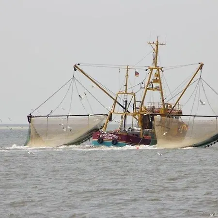 With 2 Bedrooms بيت للعطل